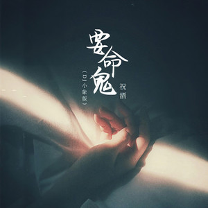 要命鬼 (DJ小象版伴奏)