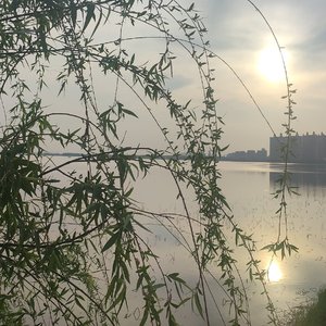 真－霜雨恋歌（Prod by Fakebood））