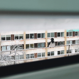 Mažasis Varnas
