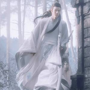 愿