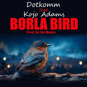 Borla Bird