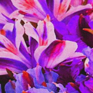Heart of indigo (Wasted baby) (feat. Attalus)