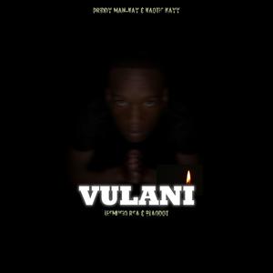 Vulani (feat. Kaotic Kayy, LesMusiq & BlaqDot)