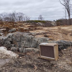 HAPPINESS, FREE, FOR EVERYONE, AND MAY NO ONE BE FORGOTTEN! (Excerpt) (Live)