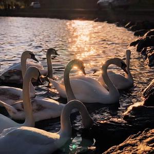 【BEAT】''Sundown''