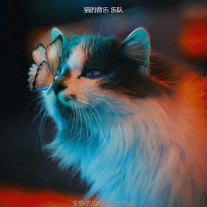 温和压力大的猫梦想