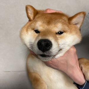 你被写在我的歌里（feat.DAYDAY）