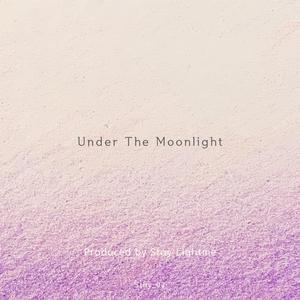 Under The Moonlight