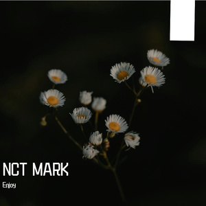 insomnia （cover16/KURO）NCT MARK
