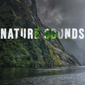 Nature Sounds