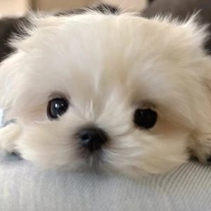 渐变