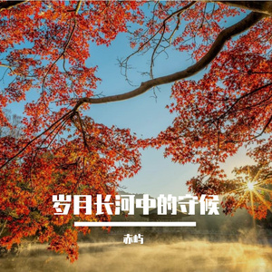 岁月长河中的守候