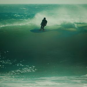 水上草甸（No Sample）