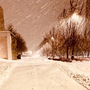 Kansas City, Brookings