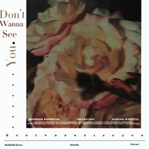 Don't Wanna See You