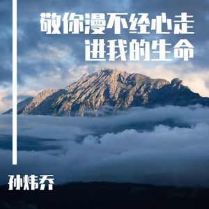 敬你漫不经心走进我的生命