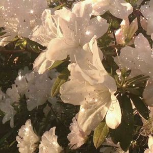 My honey(prod by Vito)