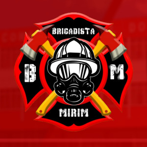 Sou Brigadista