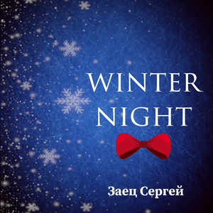 Winter Night