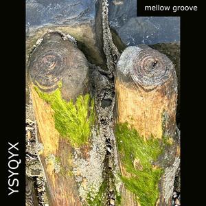 Mellow Groove