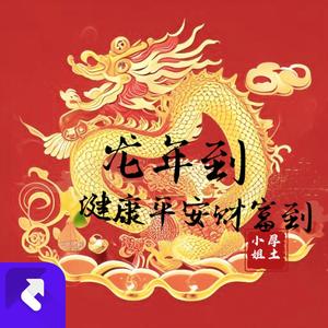 龙年到健康平安财富到（舞曲纯音乐）