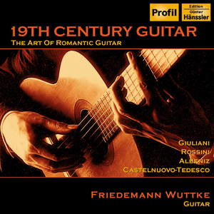 Guitar Concerto No. 1 in D Major, Op. 99: III. Ritmico e cavalleresco