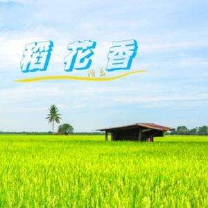 稻花香