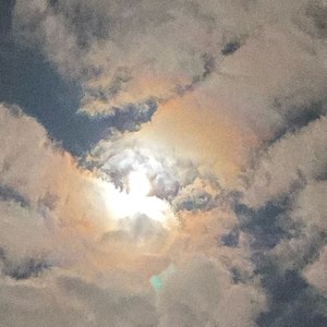 так люблю (prod. by Борути)