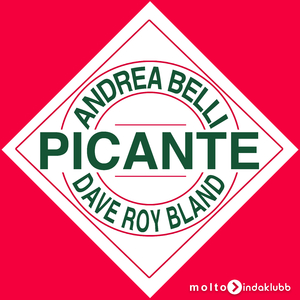 Picante (Stefano Amalfi & Robbie Groove Remix Edit)