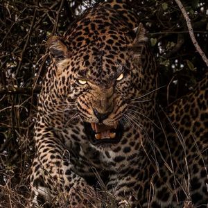 В экстазе (Remix)