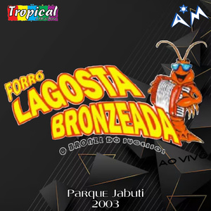 A Ferro e Fogo (Ao Vivo)