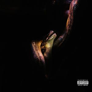 No Snakes (feat. DaZatty)