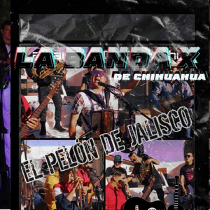 El Pelon de Jalisco (En Vivo)