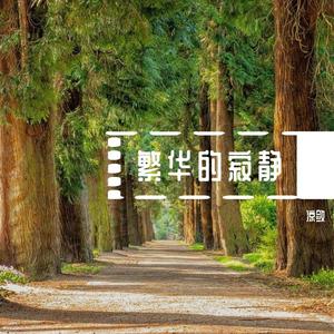 繁华的寂静（纯音乐）