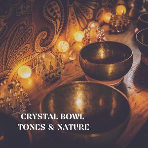 Crystal Bowl Tones (Soundbath - Night Rainforest)