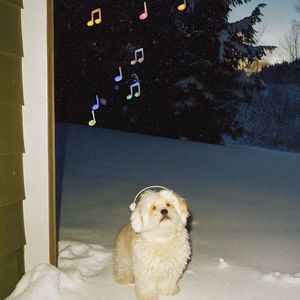 哎呀真的还可以