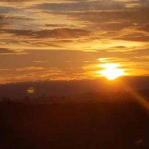 梁静茹-情歌（Svoboda9 remix）