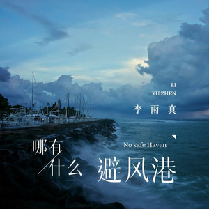 哪有什么避风港 (DJ版)