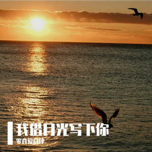 我借月光写下你