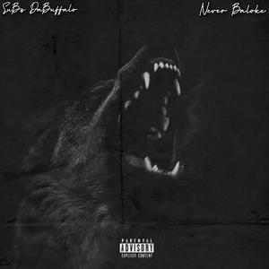 Never Baloke (Freestyle)