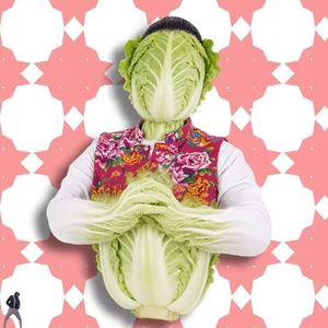 白菜对我笑（纯享旋律）