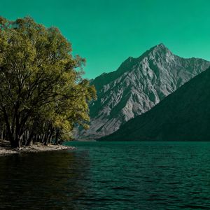 风过山海自逢春