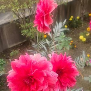 आटोमेटिकली दिल धड़कने लगा