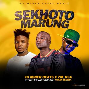 Sekhoto Marung (feat. ZM Rsa & NyKiD Zeetha)