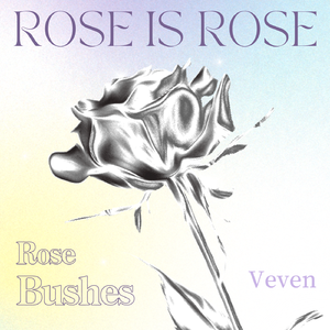 Rose Bushes