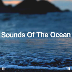 大海之声深睡眠