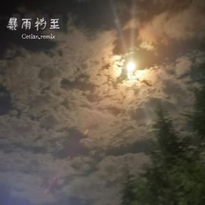 暴雨将至（remix）