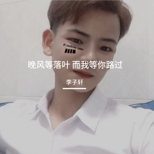 晚风等落叶 而我等你路过