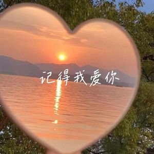 凛晴-记得我爱你（智明旭 remix）