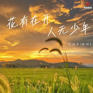 花有再开人无少年(DJ豪大大版)